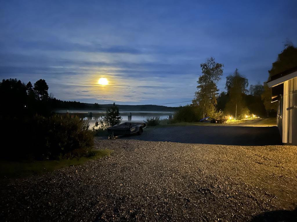 Säljarens egna bild.