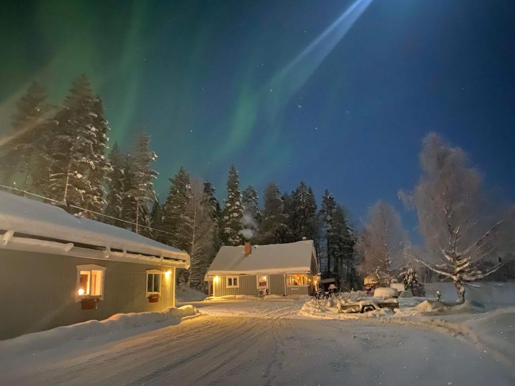 Säljarens egna bild
