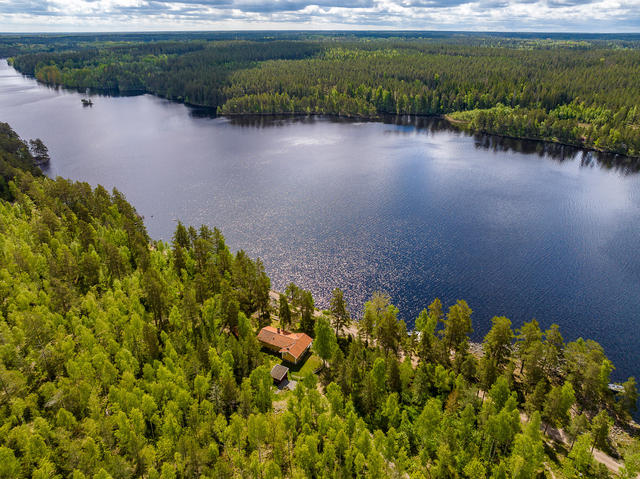 Drönarbild