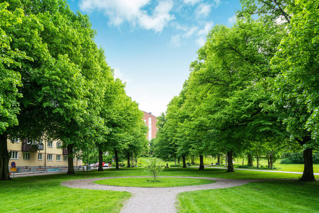Parken i Såpkullen 