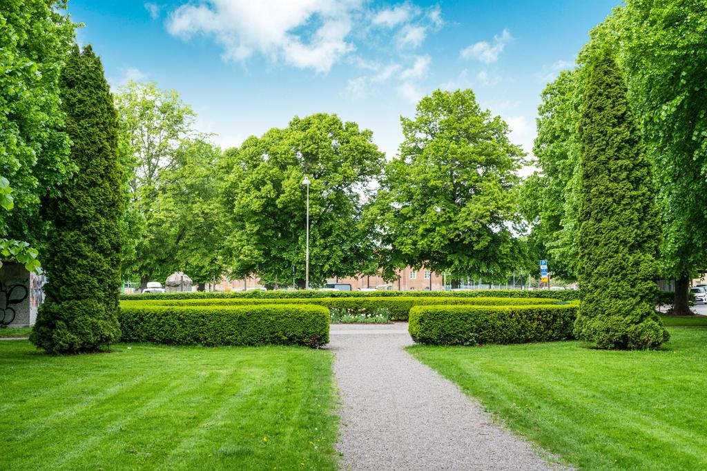 Parken i Såpkullen