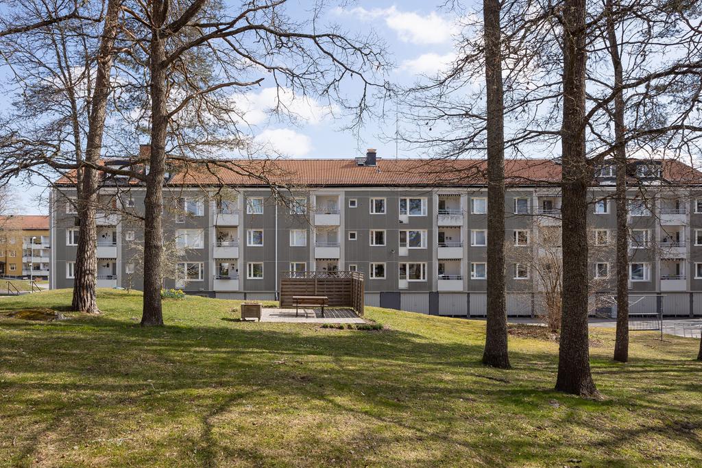 Husets baksida