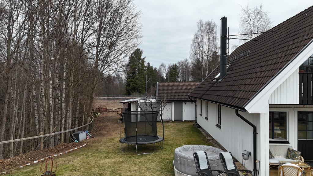 Trädgård