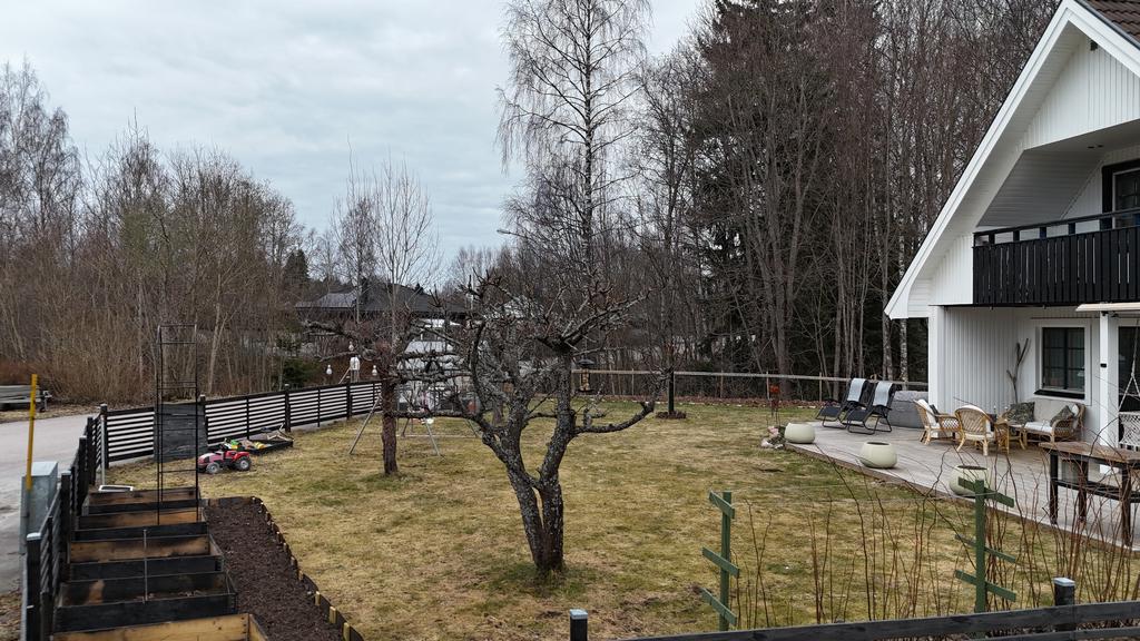Trädgård