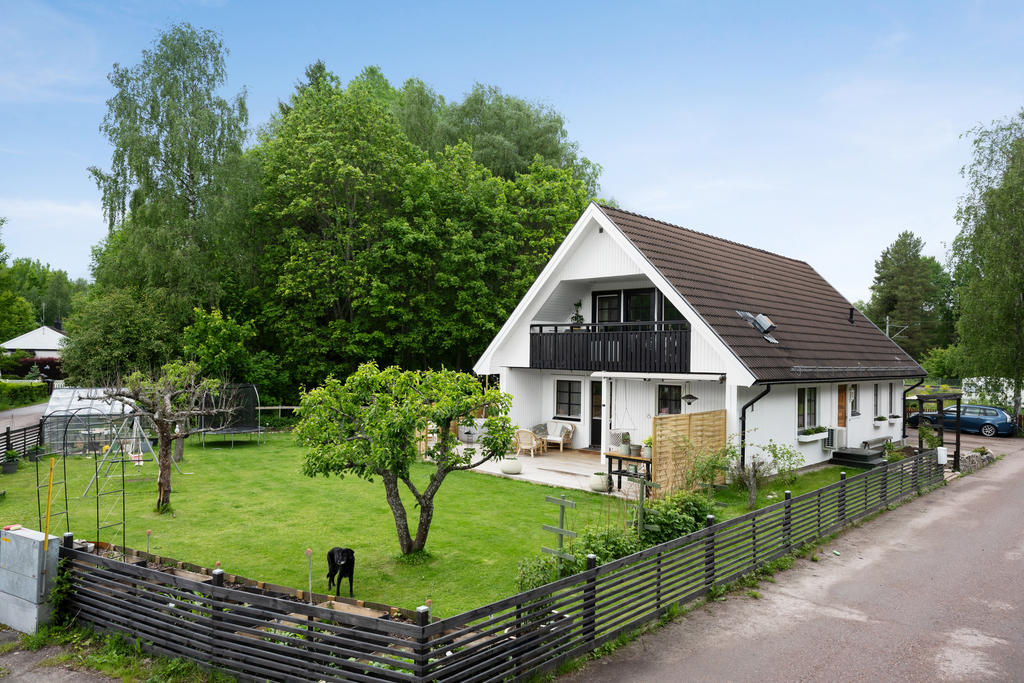 Trädgård