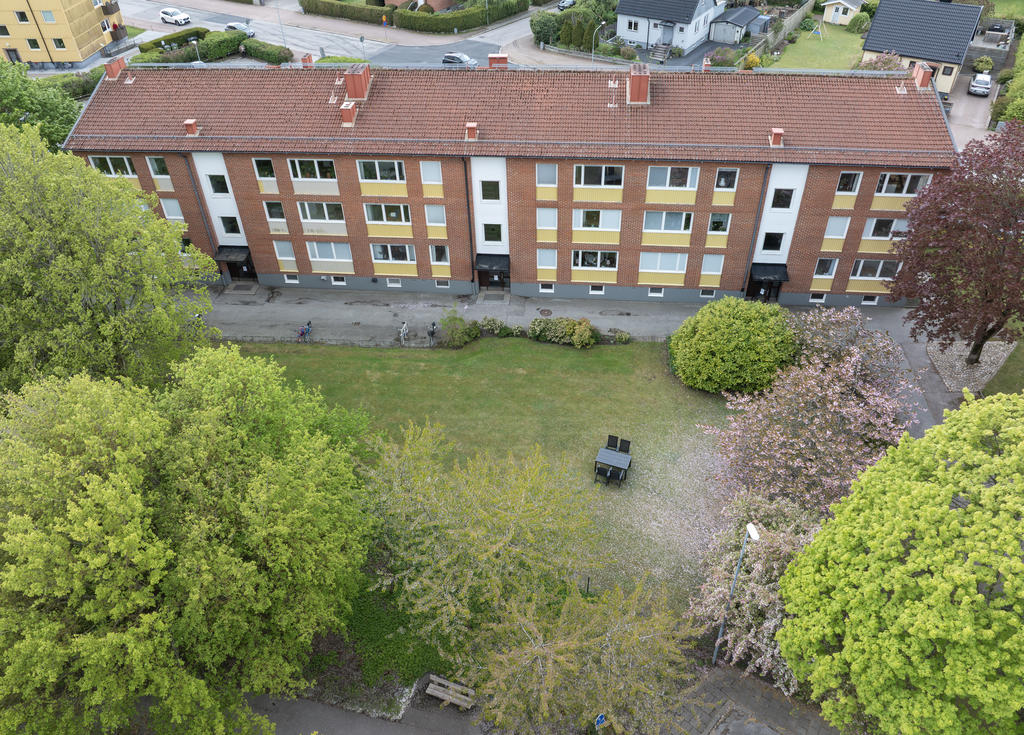 Föreningens gemensamma ytor