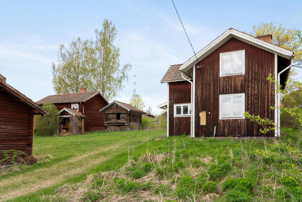 Gråda byväg 13, Djura