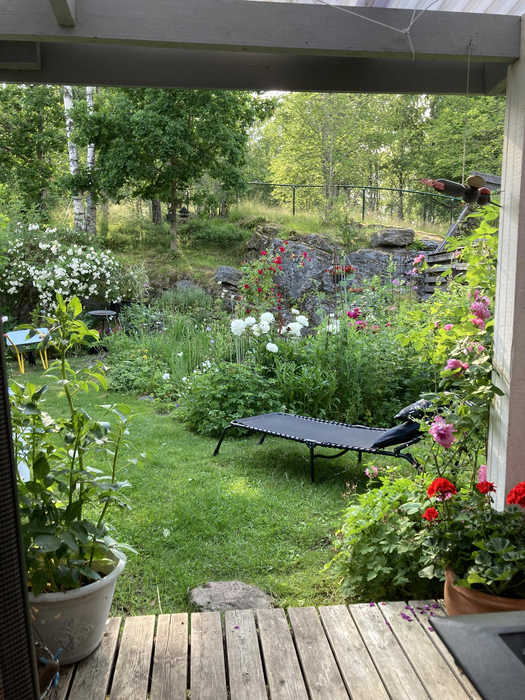 Säljarens bild