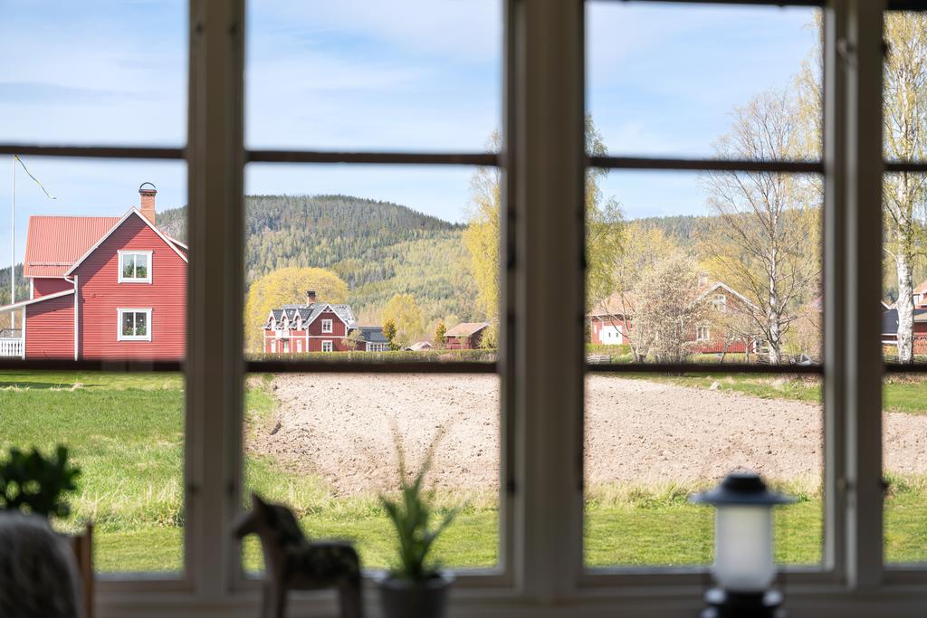 Utsikt från vardagsrumsfönstret