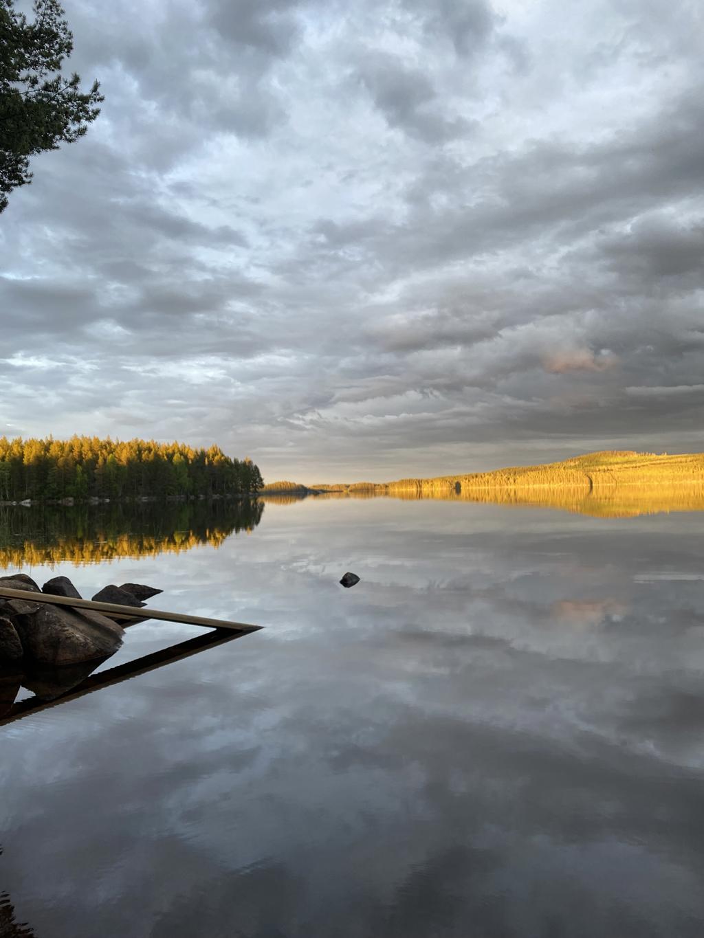 Säljarens egna bild.
