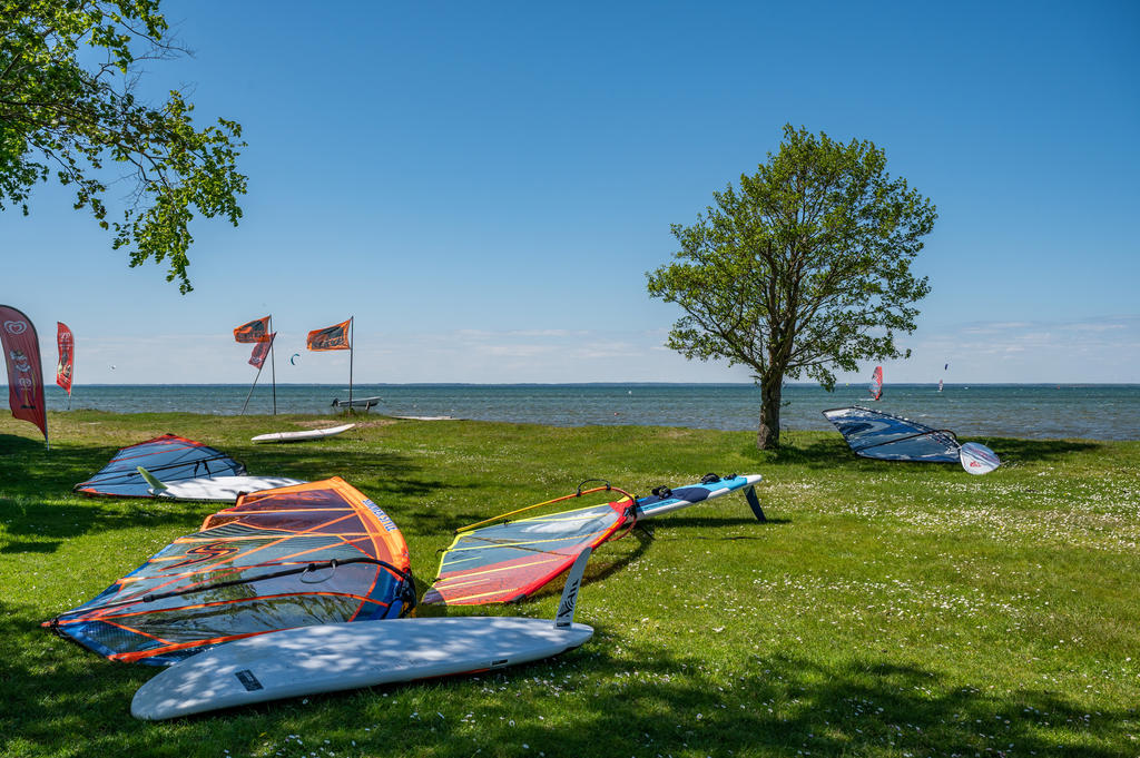 Surfing i Haga Park
