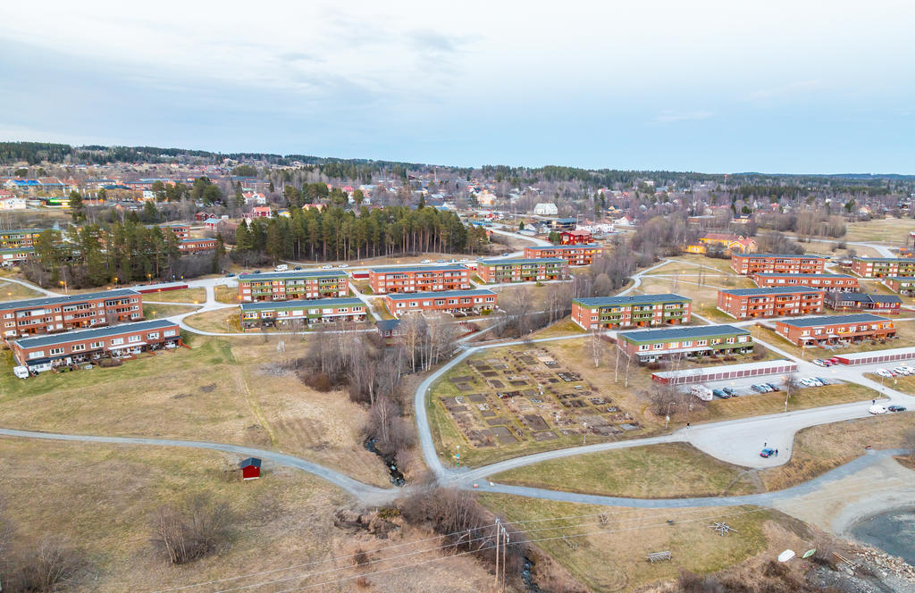 Säljarens egna bild