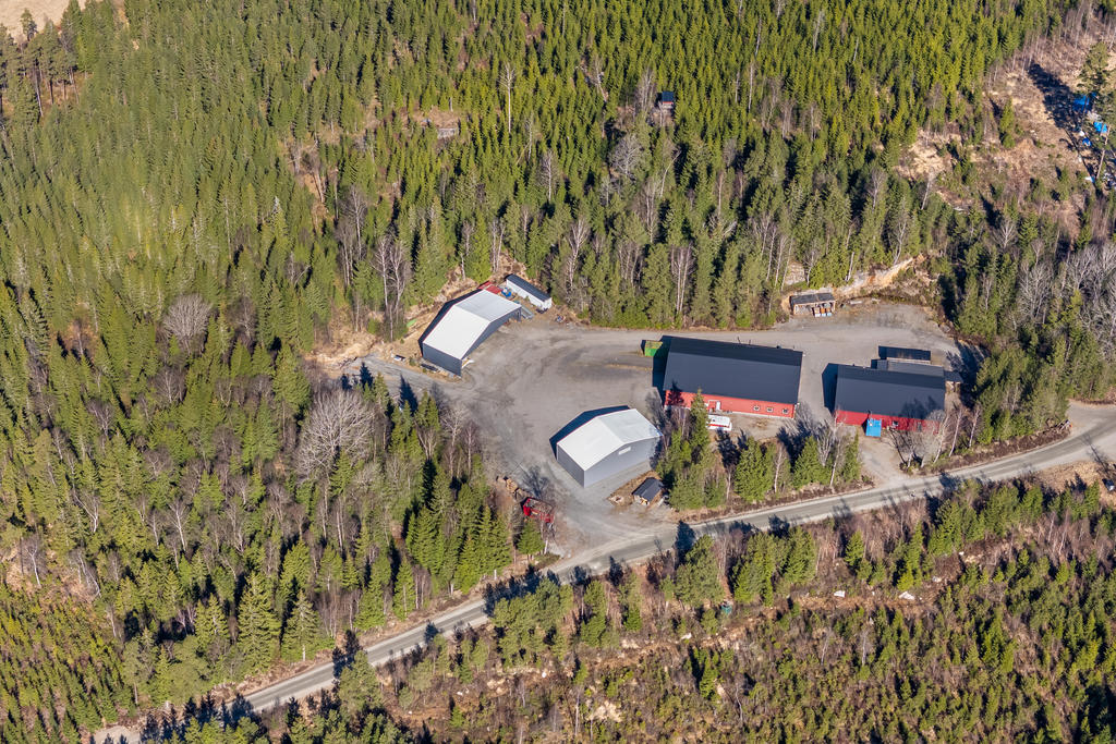 Översiktsbild över fastigheten med ett skogsskifte