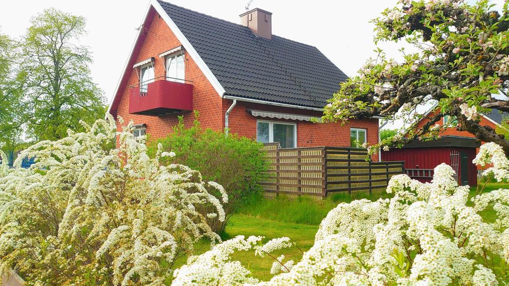 säljarens egna bild av en grönskade trädgård