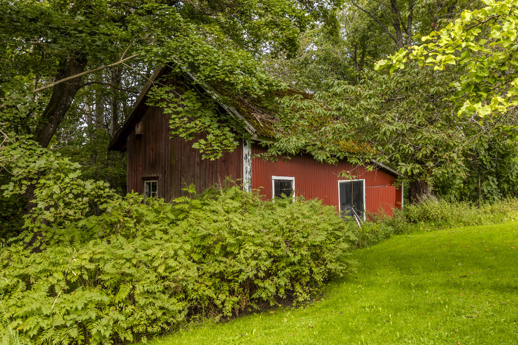 Äldre uthus