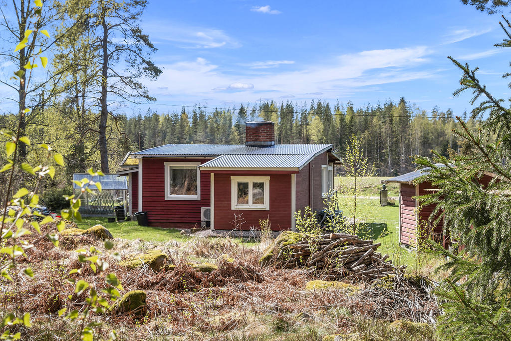 Baksida mot skogen