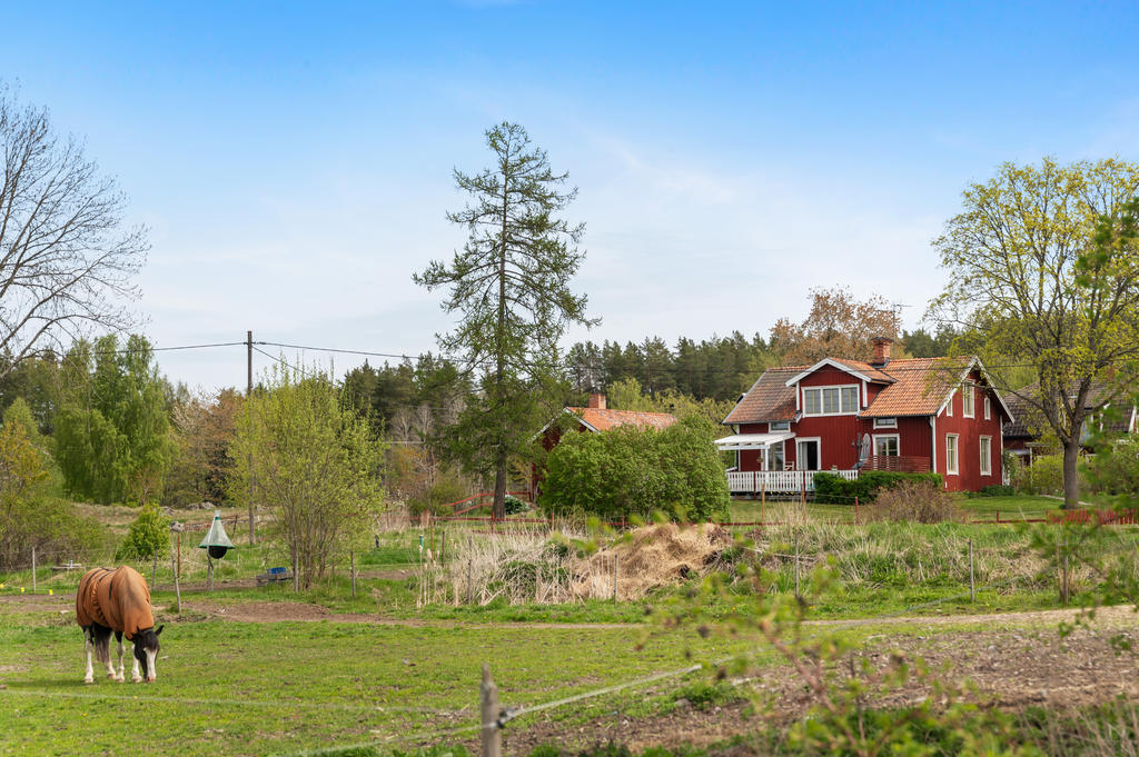 Närmaste hagarna intill huset