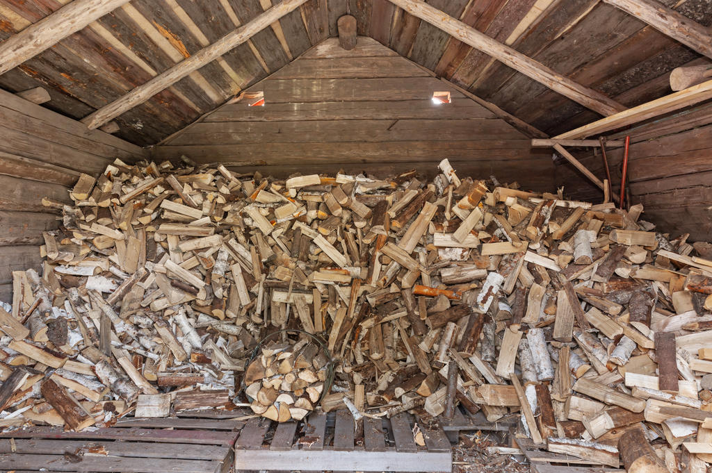 Vedbod