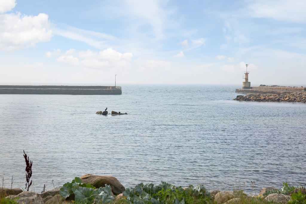 Glommens hamn