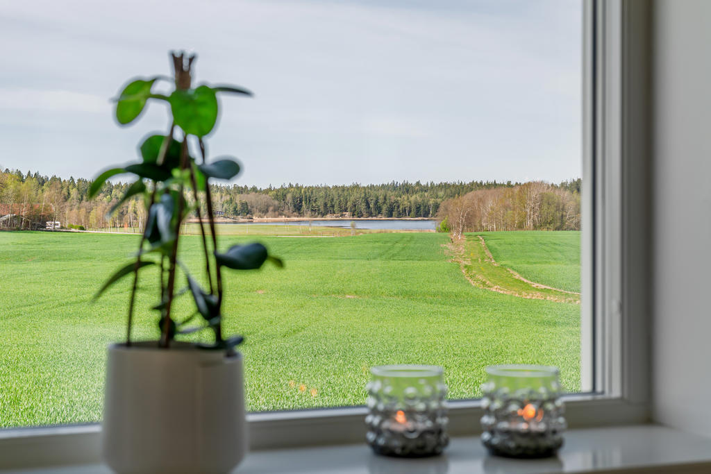 Utsikten från vinterträdgården