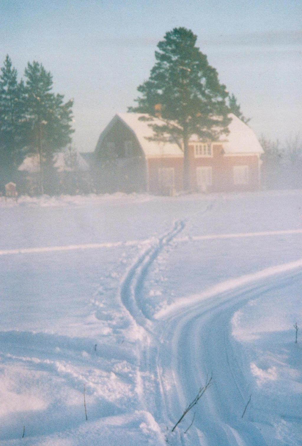 Säljarens vinterbild. 