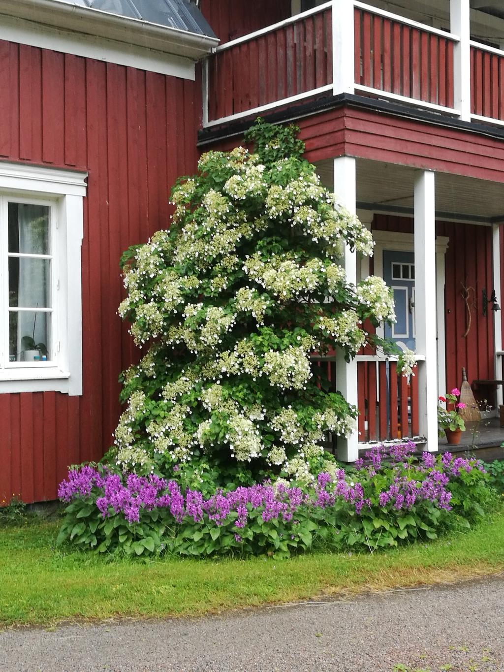 Säljarens bild. 
