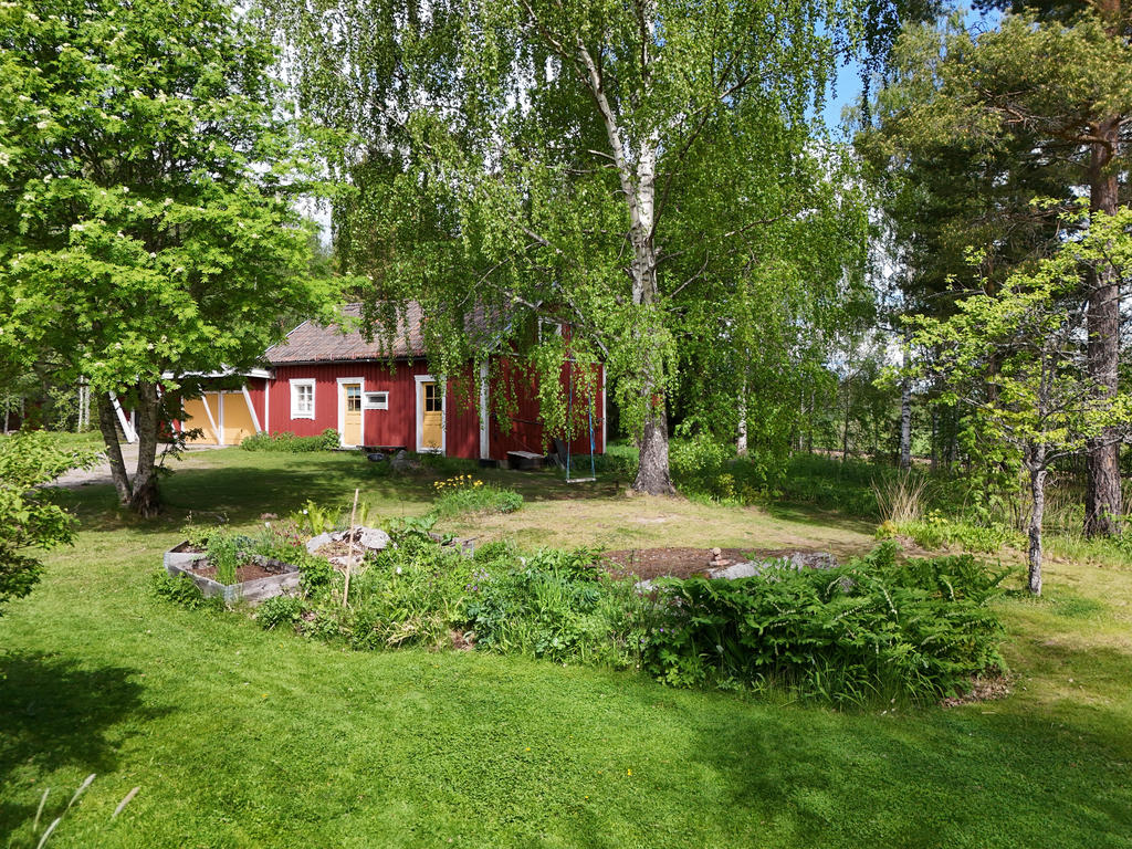 Del av trädgård med pallkragar och perenner. 