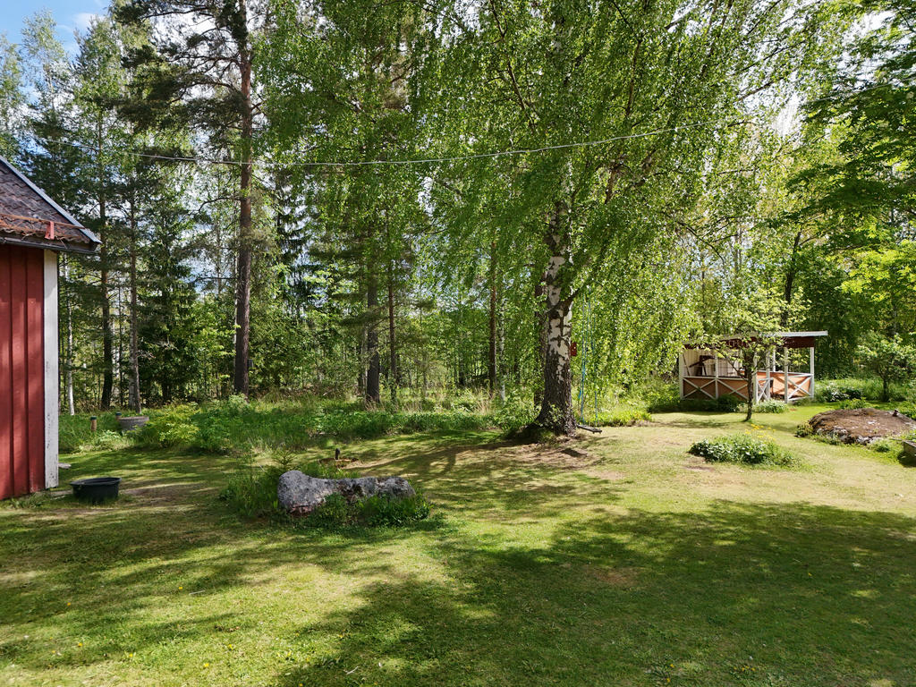 Del av trädgård. 