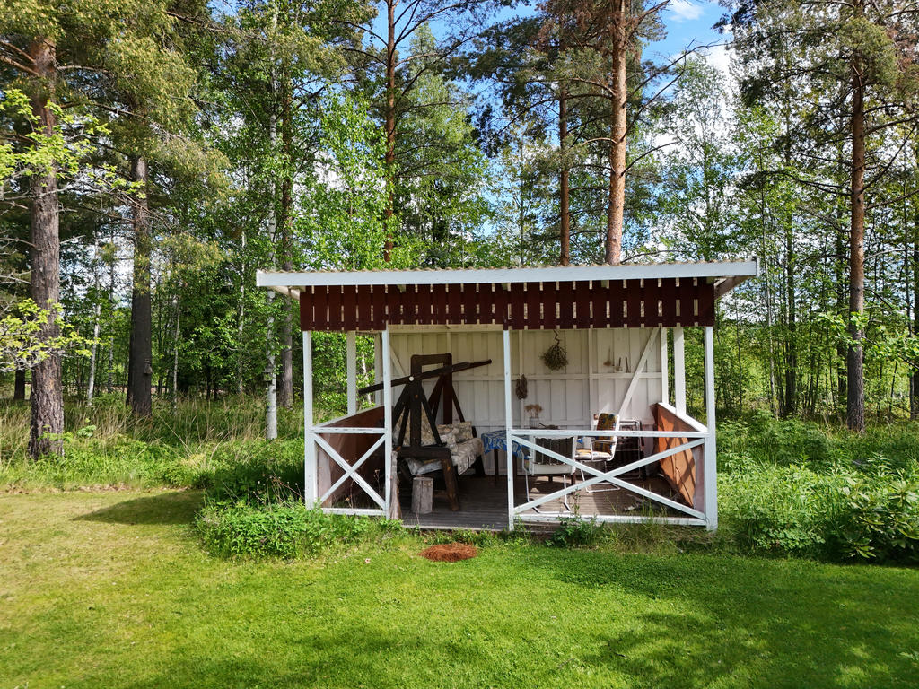 Pergola i trädgård. 