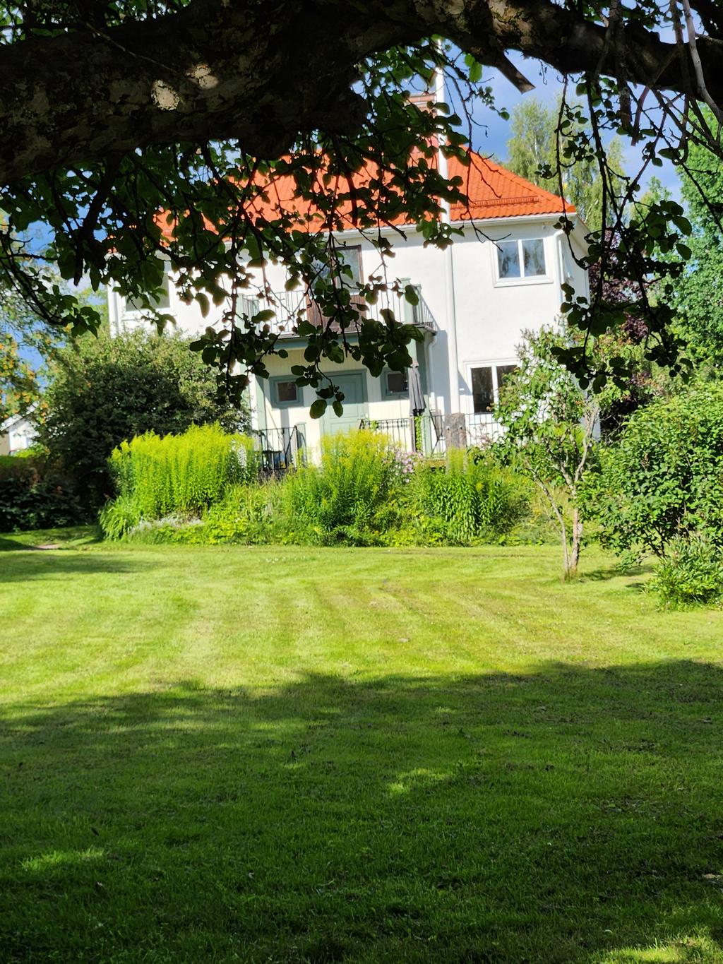 Säljarens sommarbilder 