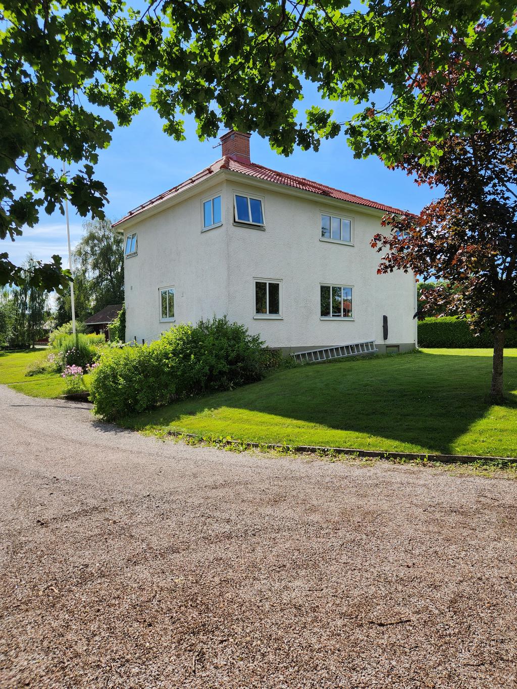 Säljarens sommarbilder 