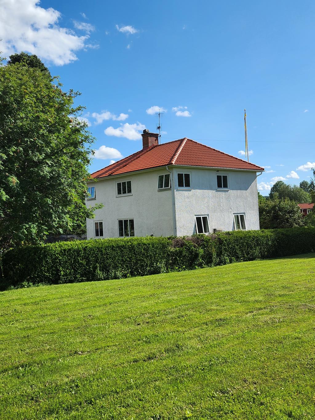 Säljarens sommarbilder 