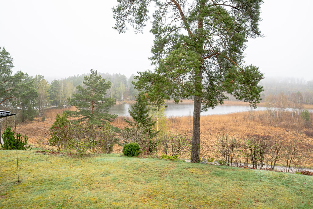 Utblick från altanen
