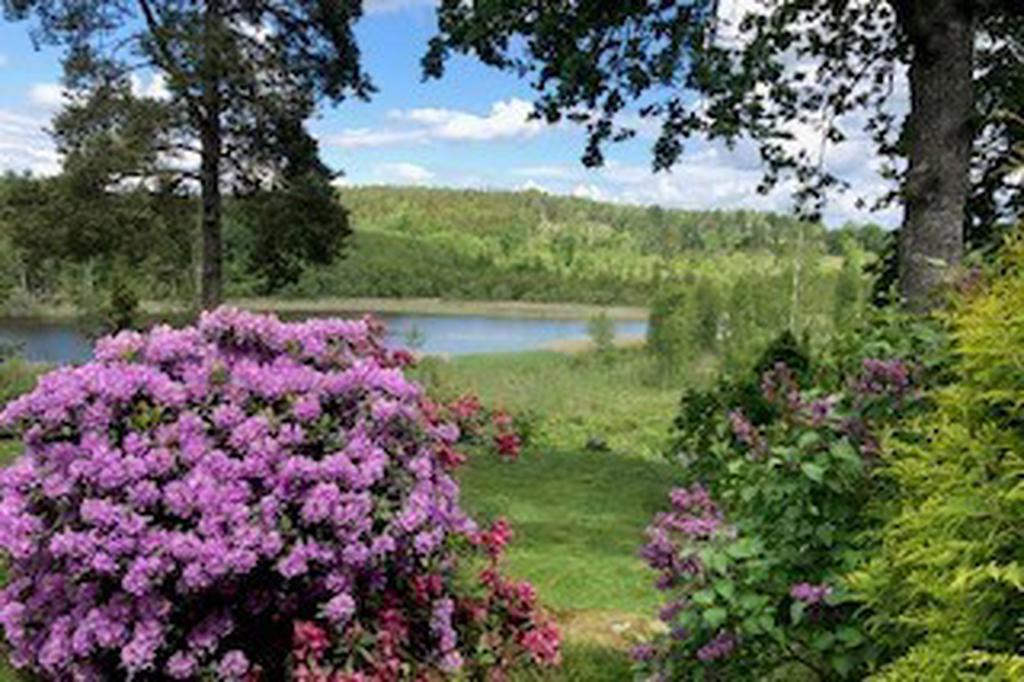 Sommar på Hasselön, ägarbild