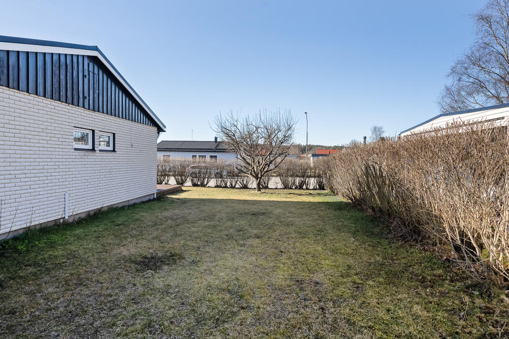 Plan gräsmatta på gården.