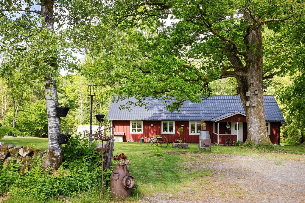 Stora träd gör platsen lummig och varm.