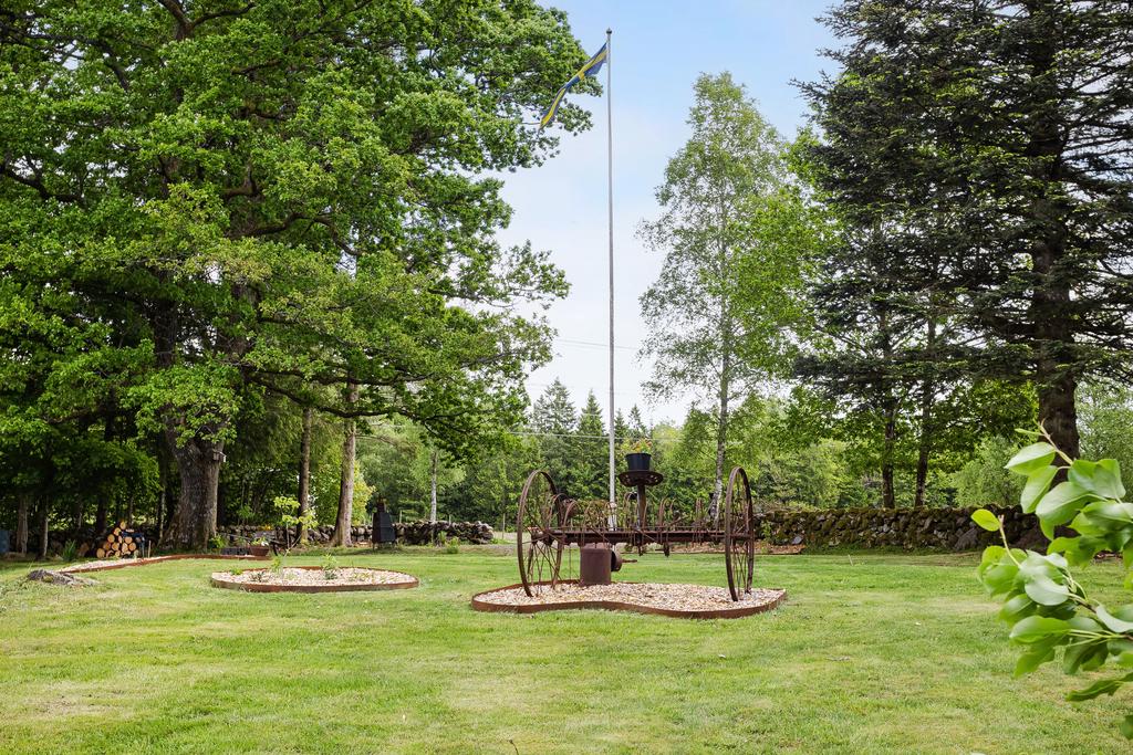 Trädgården.