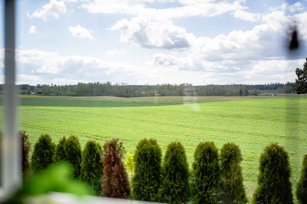 Utsikt från vardagsrummet