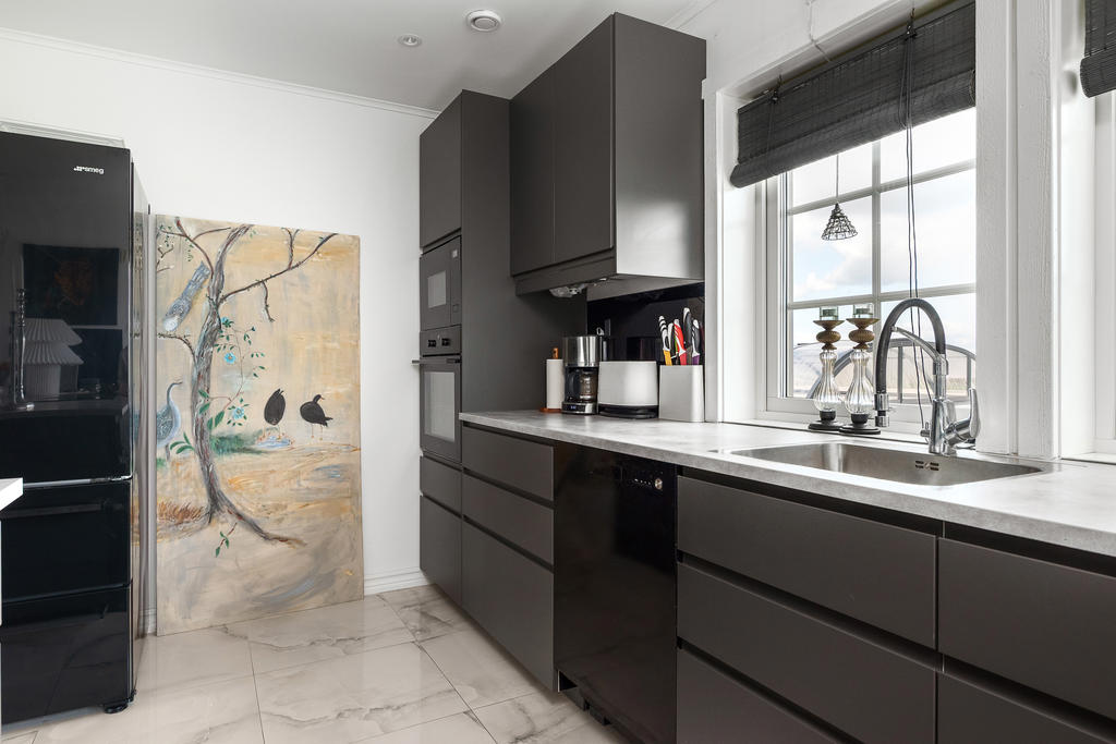 Mörka vitvaror i köket