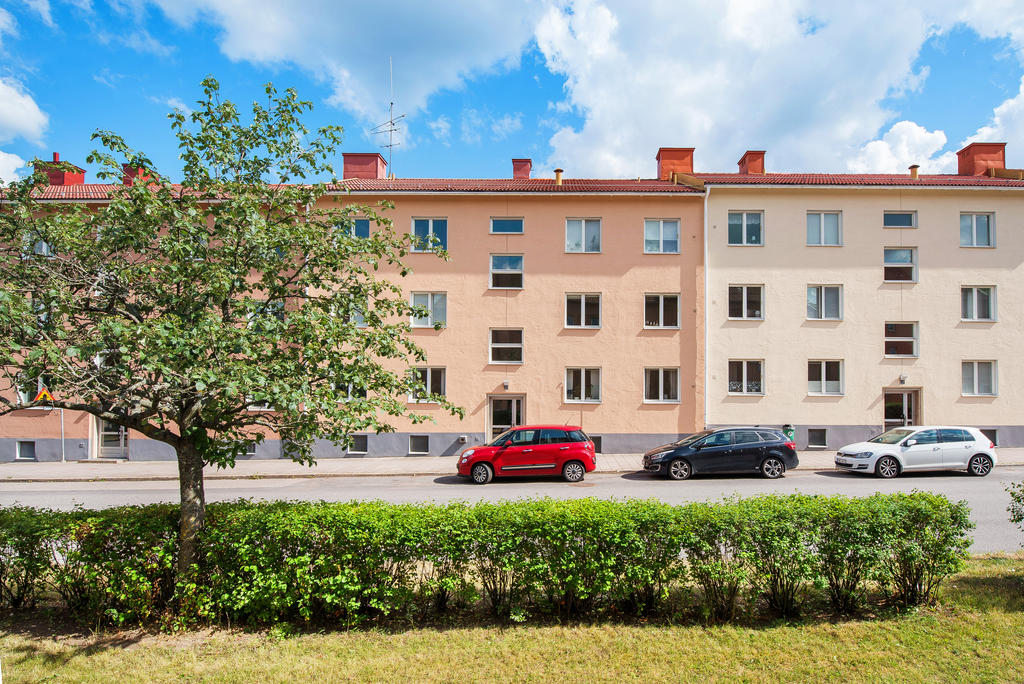 Exteriör