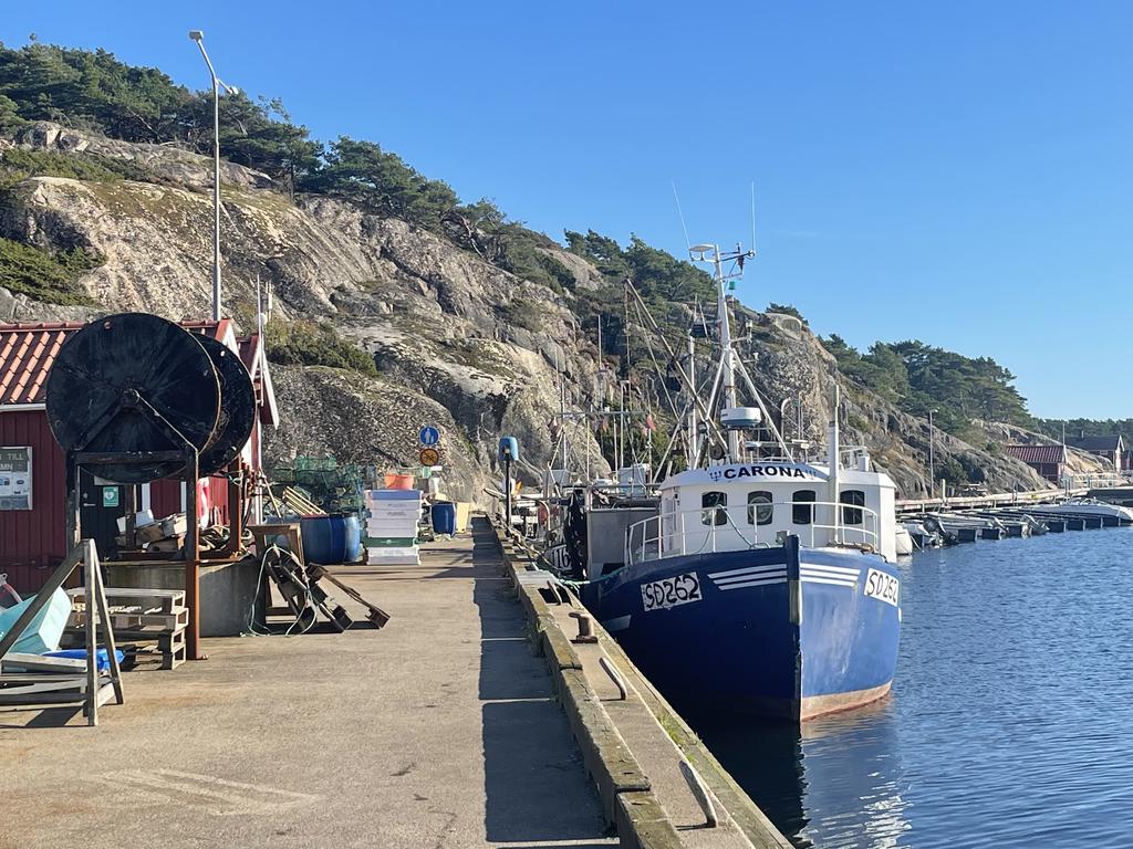 Fiskebåtar i Resö hamn med färska skaldjur.