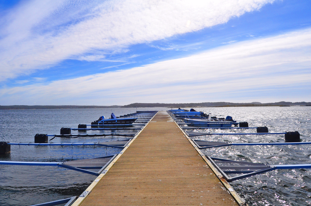 Båtplats nr. 60 i Holmsbackens bryggförening.