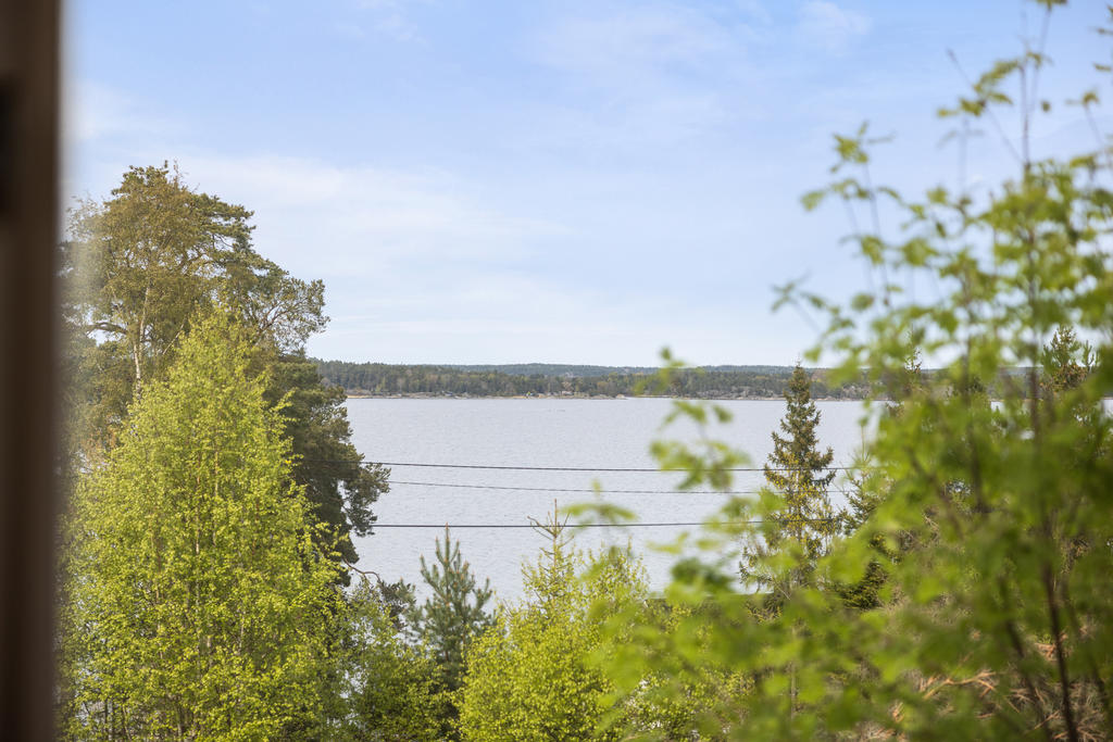 Utsikt från fönstret