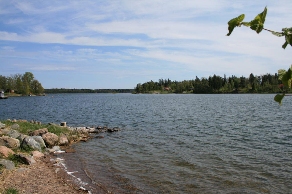 Närområdet. 