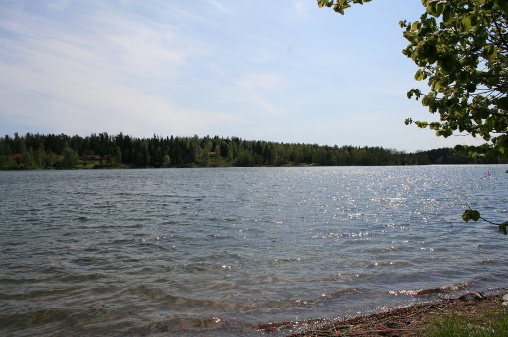Närområdet. 