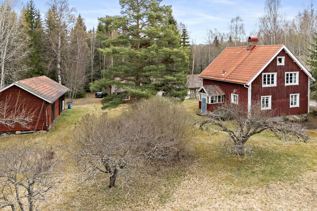 Kullsbjörken Salukvarnsgattu 19