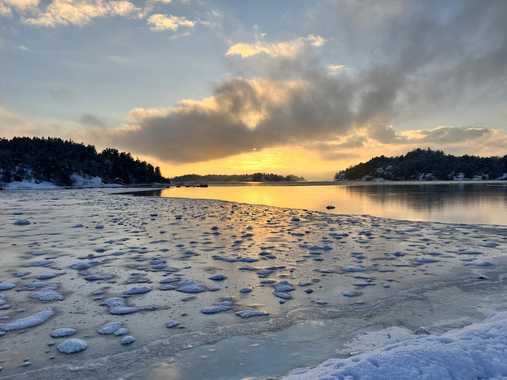 Säljarens egna bild
