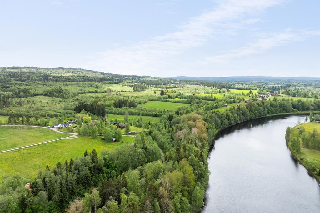 Vy över området
