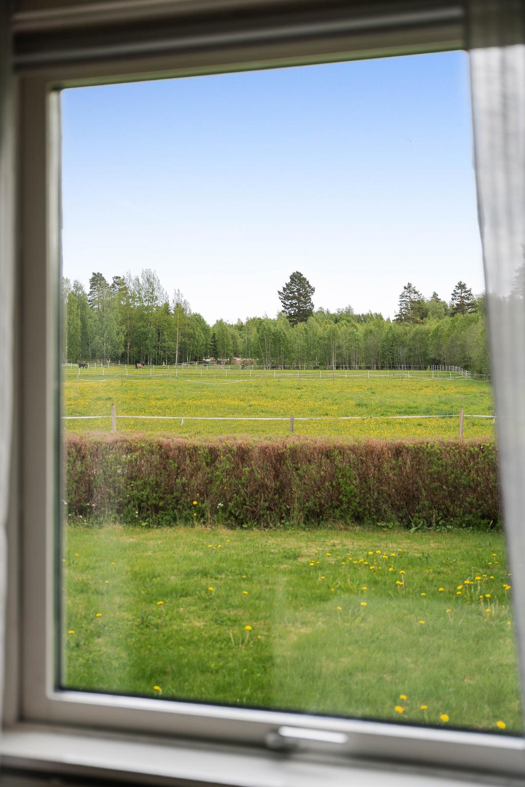 Utsikt från sovrumsfönstret