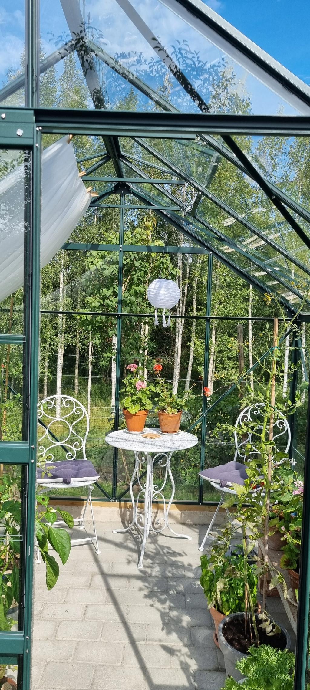 Växthus - Privat bild